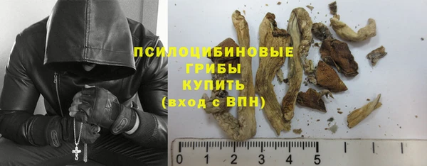 соль ск Магас