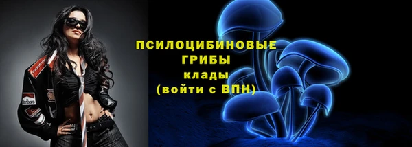 соль ск Магас
